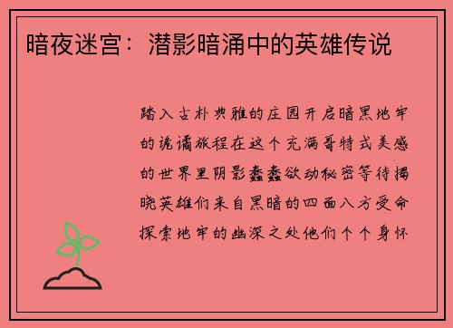 暗夜迷宫：潜影暗涌中的英雄传说